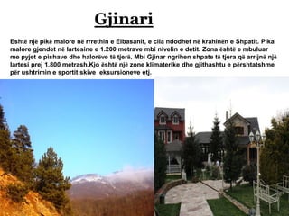 Gjinari
Eshtë një pikë malore në rrrethin e Elbasanit, e cila ndodhet në krahinën e Shpatit. Pika
malore gjendet në lartesine e 1.200 metrave mbi nivelin e detit. Zona është e mbuluar
me pyjet e pishave dhe halorëve të tjerë. Mbi Gjinar ngrihen shpate të tjera që arrijnë një
lartesi prej 1.800 metrash.Kjo është një zone klimaterike dhe gjithashtu e përshtatshme
për ushtrimin e sportit skive eksursioneve etj.
 