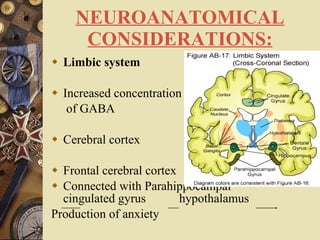NEUROANATOMICAL CONSIDERATIONS: Limbic system Increased concentration   of GABA Cerebral cortex Frontal cerebral cortex Connected with Parahippocampal  cingulated gyrus  hypothalamus  Production of anxiety   