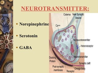 NEUROTRANSMITTER: Norepinephrine Serotonin GABA   