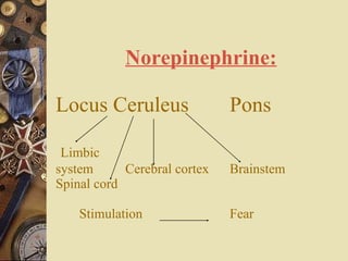Norepinephrine: Locus Ceruleus Pons     Limbic  system  Cerebral cortex  Brainstem   Spinal cord      Stimulation  Fear 