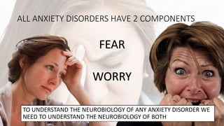 ALL ANXIETY DISORDERS HAVE 2 COMPONENTS
TO UNDERSTAND THE NEUROBIOLOGY OF ANY ANXIETY DISORDER WE
NEED TO UNDERSTAND THE NEUROBIOLOGY OF BOTH
FEAR
WORRY
 