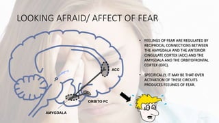 LOOKING AFRAID/ AFFECT OF FEAR
AMYGDALA
ORBITO FC
ACC
• FEELINGS OF FEAR ARE REGULATED BY
RECIPROCAL CONNECTIONS BETWEEN
THE AMYGDALA AND THE ANTERIOR
CINGULATE CORTEX (ACC) AND THE
AMYGDALA AND THE ORBITOFRONTAL
CORTEX (OFC).
• SPECIFICALLY, IT MAY BE THAT OVER
ACTIVATION OF THESE CIRCUITS
PRODUCES FEELINGS OF FEAR.
 