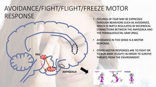 AVOIDANCE/FIGHT/FLIGHT/FREEZE MOTOR
RESPONSE
AMYGDALA
PAG
• FEELINGS OF FEAR MAY BE EXPRESSED
THROUGH BEHAVIORS SUCH AS AVOIDANCE,
WHICH IS PARTLY REGULATED BY RECIPROCAL
CONNECTIONS BETWEEN THE AMYGDALA AND
THE PERIAQUEDUCTAL GRAY (PAG).
• AVOIDANCE IN THIS SENSE IS A MOTOR
RESPONSE.
• OTHER MOTOR RESPONSES ARE TO FIGHT OR
TO RUN AWAY (FLIGHT) IN ORDER TO SURVIVE
THREATS FROM THE ENVIRONMENT.
 