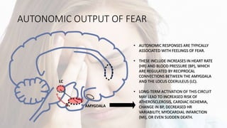AUTONOMIC OUTPUT OF FEAR
AMYGDALA
LC
• AUTONOMIC RESPONSES ARE TYPICALLY
ASSOCIATED WITH FEELINGS OF FEAR.
• THESE INCLUDE INCREASES IN HEART RATE
(HR) AND BLOOD PRESSURE (BP), WHICH
ARE REGULATED BY RECIPROCAL
CONNECTIONS BETWEEN THE AMYGDALA
AND THE LOCUS COERULEUS (LC).
• LONG-TERM ACTIVATION OF THIS CIRCUIT
MAY LEAD TO INCREASED RISK OF
ATHEROSCLEROSIS, CARDIAC ISCHEMIA,
CHANGE IN BP, DECREASED HR
VARIABILITY, MYOCARDIAL INFARCTION
(MI), OR EVEN SUDDEN DEATH.
 