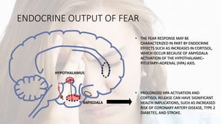 ENDOCRINE OUTPUT OF FEAR
AMYGDALA
HYPOTHALAMUS
• THE FEAR RESPONSE MAY BE
CHARACTERIZED IN PART BY ENDOCRINE
EFFECTS SUCH AS INCREASES IN CORTISOL,
WHICH OCCUR BECAUSE OF AMYGDALA
ACTIVATION OF THE HYPOTHALAMIC–
PITUITARY–ADRENAL (HPA) AXIS.
• PROLONGED HPA ACTIVATION AND
CORTISOL RELEASE CAN HAVE SIGNIFICANT
HEALTH IMPLICATIONS, SUCH AS INCREASED
RISK OF CORONARY ARTERY DISEASE, TYPE 2
DIABETES, AND STROKE.
 