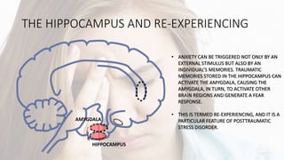 THE HIPPOCAMPUS AND RE-EXPERIENCING
AMYGDALA
HIPPOCAMPUS
• ANXIETY CAN BE TRIGGERED NOT ONLY BY AN
EXTERNAL STIMULUS BUT ALSO BY AN
INDIVIDUAL’S MEMORIES. TRAUMATIC
MEMORIES STORED IN THE HIPPOCAMPUS CAN
ACTIVATE THE AMYGDALA, CAUSING THE
AMYGDALA, IN TURN, TO ACTIVATE OTHER
BRAIN REGIONS AND GENERATE A FEAR
RESPONSE.
• THIS IS TERMED RE-EXPERIENCING, AND IT IS A
PARTICULAR FEATURE OF POSTTRAUMATIC
STRESS DISORDER.
 