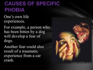 CAUSES OF SPECIFIC
PHOBIA
One’s own life
experiences.
For example, a person who
has been bitten by a dog
will develop a fear of
dogs.
Another fear could also
result of a traumatic
experience from a car
crash.
 