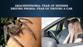 ARACHNOPHOBIA: FEAR OF SPIDERS
DRIVING PHOBIA: FEAR OF DRIVING A CAR
 