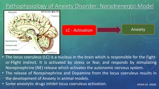 ARWA M. AMIN
Pathophysiology of Anxiety Disorder: Noradrenergic Model
• The locus coeruleus (LC) is a nucleus in the brain which is responsible for the Fight-
or-Flight instinct. It is activated by stress or fear, and responds by stimulating
Norepinephrine (NE) release which activates the autonomic nervous system.
• The release of Norepinephrine and Dopamine from the locus coeruleus results in
the development of Anxiety in animal models.
• Some anxiolytic drugs inhibit locus coeruleus activation.
AnxietyLC - Activation
 