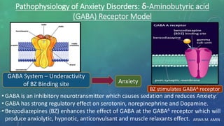 ARWA M. AMIN
Pathophysiology of Anxiety Disorders: δ-Aminobutyric acid
(GABA) Receptor Model
• GABA is an inhibitory neurotransmitter which causes sedation and reduces Anxiety.
• GABA has strong regulatory effect on serotonin, norepinephrine and Dopamine.
• Benzodiazepines (BZ) enhances the effect of GABA at the GABAA receptor which will
produce anxiolytic, hypnotic, anticonvulsant and muscle relaxants effect.
Anxiety
GABA System – Underactivity
of BZ Binding site
BZ stimulates GABAA receptor
 