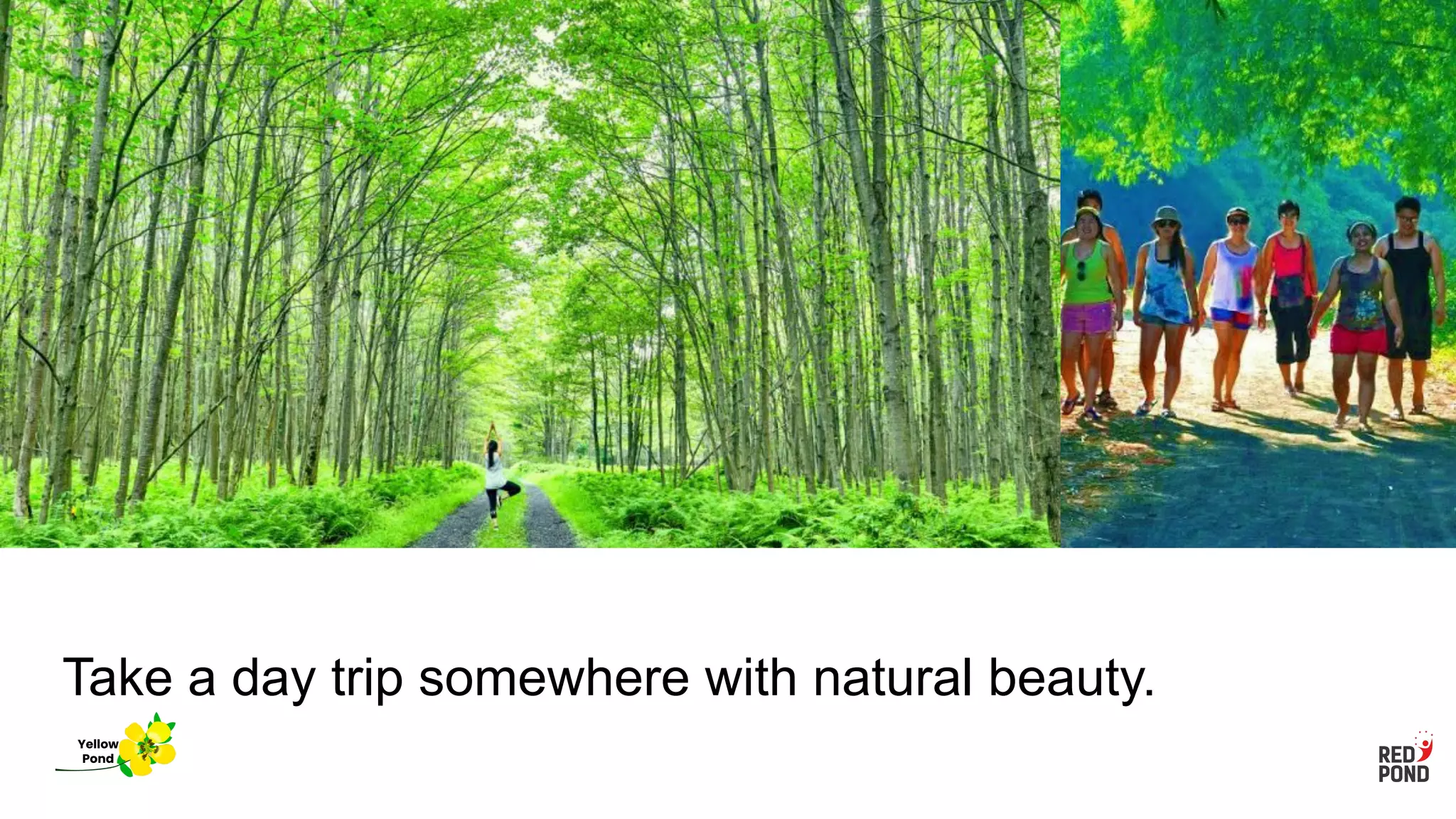 Take a day trip somewhere with natural beauty.
Yellow
Pond
 