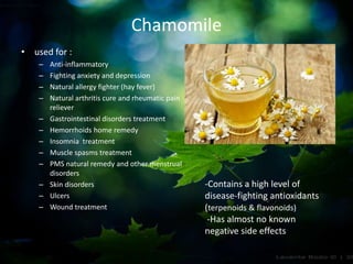 Chamomile
• used for :
– Anti-inflammatory
– Fighting anxiety and depression
– Natural allergy fighter (hay fever)
– Natural arthritis cure and rheumatic pain
reliever
– Gastrointestinal disorders treatment
– Hemorrhoids home remedy
– Insomnia treatment
– Muscle spasms treatment
– PMS natural remedy and other menstrual
disorders
– Skin disorders
– Ulcers
– Wound treatment
-Contains a high level of
disease-fighting antioxidants
(terpenoids & flavonoids)
-Has almost no known
negative side effects
 