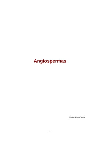 Angiospermas
Nerea Novo Castro
1
 