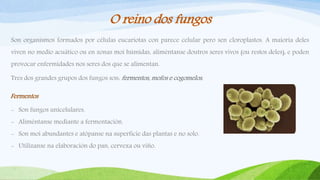 O reino dos fungos
Son organismos formados por células eucariotas con parece celular pero sen cloroplastos. A maioría deles
viven no medio acuático ou en zonas moi húmidas, aliméntanse doutros seres vivos (ou restos deles), e poden
provocar enfermidades nos seres dos que se alimentan.
Tres dos grandes grupos dos fungos son: fermentos, mofos e cogomelos.
Fermentos
- Son fungos unicelulares.
- Aliméntanse mediante a fermentación.
- Son moi abundantes e atópanse na superficie das plantas e no solo.
- Utilízanse na elaboración do pan, cervexa ou viño.
 