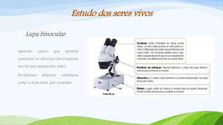 Estudo dos seres vivos
Lupa binocular
Aparello óptico que permite
aumentar os obxectos directamente
sen ter que preparalos antes.
Permítenos observar estruturas
como a nosa man, por exemplo.
 
