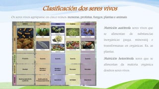 Clasificación dos seres vivos
Os seres vivos agrúpanse en cinco reinos: moneras, protistas, fungos, plantas e animais.
Nutrición autótrofa: seres vivos que
se alimentan de substancias
inorgánicas (auga, minerais) e
transfórmanas en orgánicas. Ex: as
plantas.
Nutrición heterótrofa: seres que se
alimentan da materia orgánica
doutros seres vivos.
 