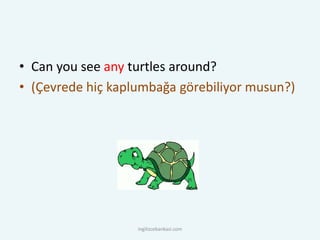 • Can you see any turtles around?
• (Çevrede hiç kaplumbağa görebiliyor musun?)
ingilizcebankasi.com
 