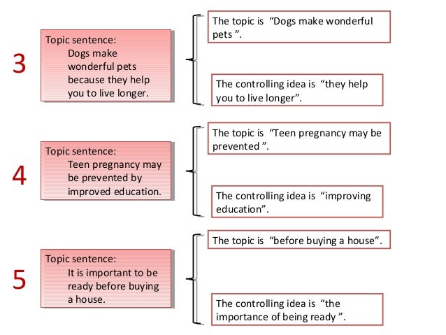 Paragraph About Dogs Make Wonderful Pets Paragraph About Dogs Make Wonderful Pets