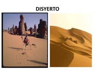 DISYERTO
 