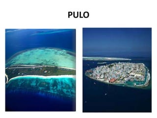 PULO
 