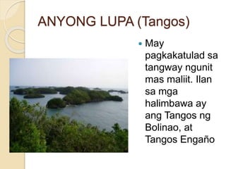 ANYONG LUPA (Tangos)
 May
pagkakatulad sa
tangway ngunit
mas maliit. Ilan
sa mga
halimbawa ay
ang Tangos ng
Bolinao, at
Tangos Engaño
 