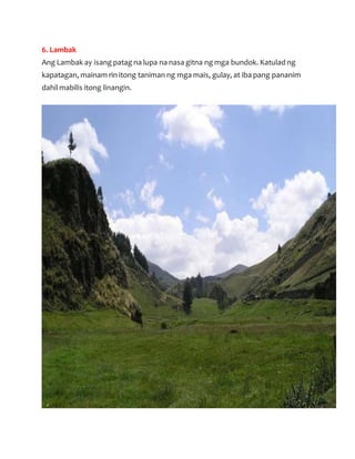 6. Lambak
Ang Lambak ay isang patag na lupa na nasa gitna ng mga bundok. Katulad ng
kapatagan, mainam rin itong taniman ng mga mais, gulay, at iba pang pananim
dahil mabilis itong linangin.
 