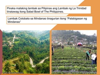 Pinaka malaking lambak sa Pilipinas ang Lambak ng La Trinidad
tinatawag itong Salad Bowl of The Philippines.
Lambak Cotobato sa Mindanao tinagurian itong “Palabigasan ng
Mindanao”
 