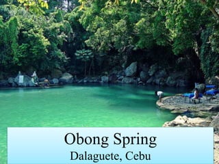 Linabuhayan Spring Anyong lupa at tubig rehiyon vii | PPTX