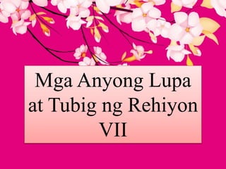 Mga Anyong Lupa
at Tubig ng Rehiyon
VII
 