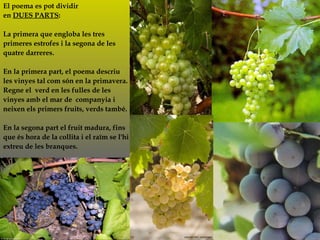 El poema es pot dividir  en  DUES PARTS :  La primera que engloba les tres primeres estrofes i la segona de les  quatre darreres.  En la primera part, el poema descriu  les vinyes tal com són en la primavera.  Regne el  verd en les fulles de les vinyes amb el mar de  companyia i  neixen els primers fruits, verds també.  En la segona part el fruit madura, fins que és hora de la collita i el raïm se l'hi extreu de les branques. 
