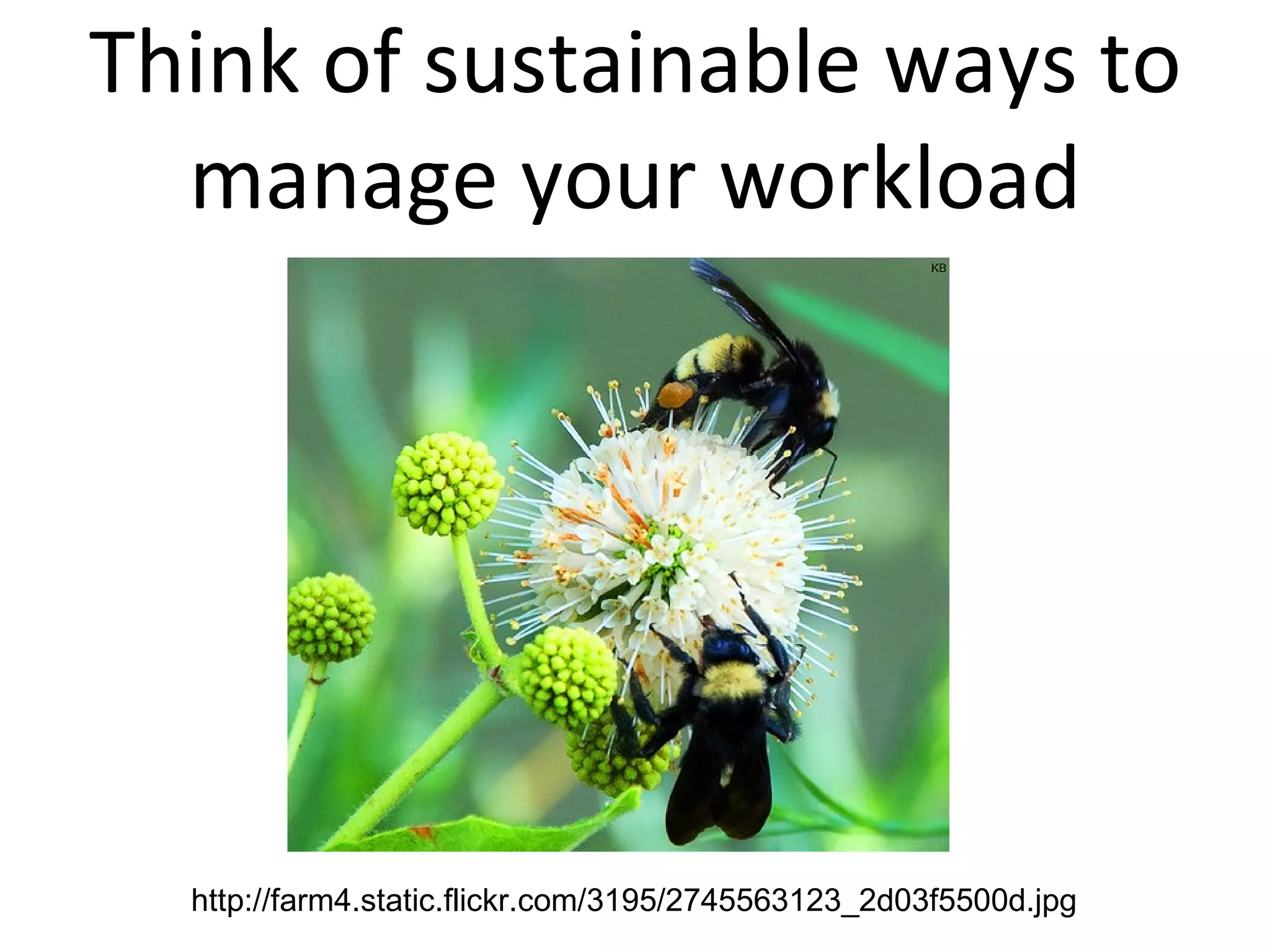 Think of sustainable ways to manage your workload http://farm4.static.flickr.com/3195/2745563123_2d03f5500d.jpg 