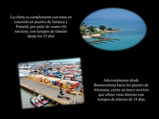 La oferta se complementa con rutas en
  conexión en puertos de Jamaica y
   Panamá, por parte de cuatro (4)
  navieras, con tiempos de tránsito
           desde los 15 días




                                              Adicionalmente desde
                                        Buenaventura hacia los puertos de
                                        Alemania, existe un único servicio
                                           que ofrece rutas directas con
                                          tiempos de tránsito de 19 días
 