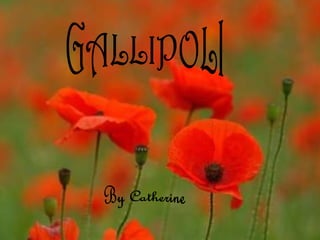 GALLIPOLI GALLIPOLI By Catherine 