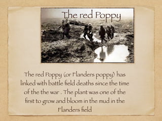 The red Poppy




 The red Poppy (or Flanders poppy) has
linked with battle ﬁeld deaths since the time
 of the the war . The plant was one of the
 ﬁrst to grow and bloom in the mud in the
               Flanders ﬁeld
 
