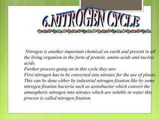 Nitrogen is another important chemical on earth and present in all
the living organism in the form of protein, amino acids and nucleic
acids.
Further process going on in this cycle they are-
First nitrogen has to be converted into nitrates for the use of plants.
This can be done either by industrial nitrogen fixation like by some
nitrogen fixation bacteria such as azotobactor which convert the
atmospheric nitrogen into nitrates which are soluble in water this
process is called nitrogen fixation.
 
