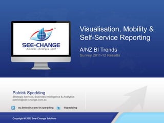Visualisation, Mobility &
                                                       Self-Service Reporting
                  ...