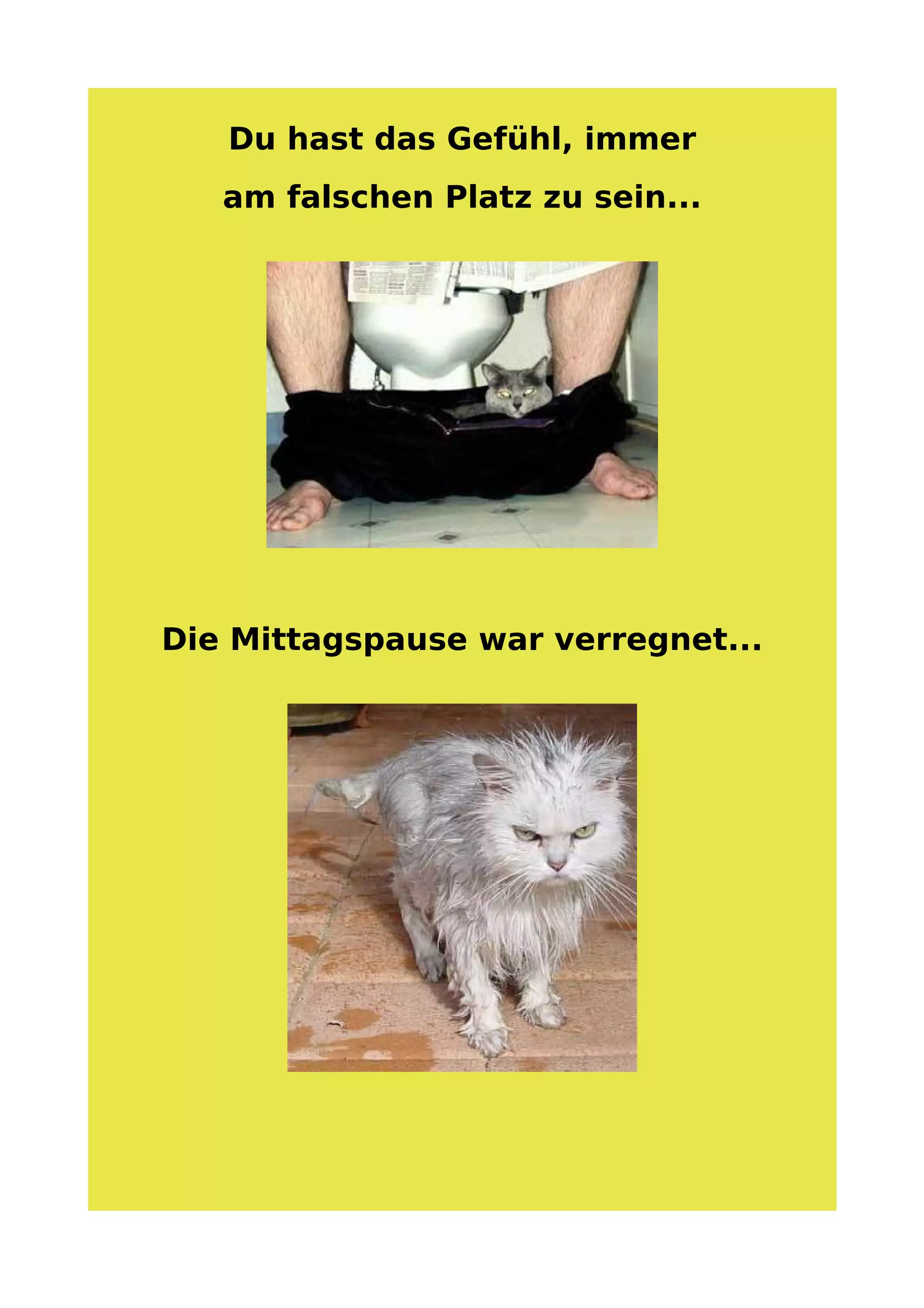 Anzeichen Fuer Schlechten Tag