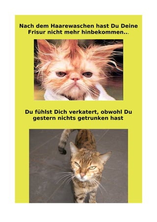 Anzeichen Fuer Schlechten Tag