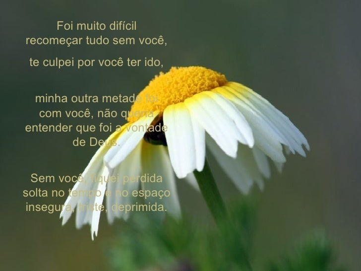 Ao meu pai em memoria