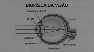 Física: Ótica - ENEM
