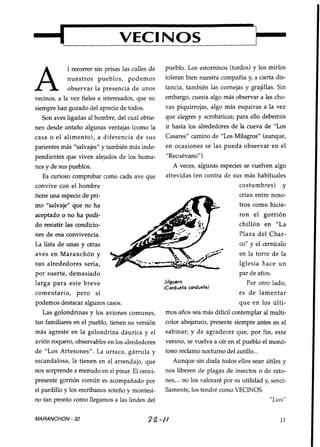 L


                                VECINOS

            1 recorrer sin prisas las calles de   pueblo. Los estorninos (tordos) y los mirlos
            nuestros pueblos, podemos             toleran bien nuestra compañía y, a cierta dis-
            observar la presencia d e unos        tancia, también las cornejas y grajillas. Sin
vecinos, a la vez fieles e interesados, que no    embargo, cuesta algo más observar a las cho-
siempre han gozado del aprecio de todos.          vas piquirrojas, algo más esquivas a la vez
   Son aves ligadas al hombre, del cual obtie-    que alegres y acrobáticas; para ello debemos
nen desde antaño algunas ventajas (como la        ir hasta los alrededores de la cueva de "Los
casa o el alimento), a diferencia d e sus         Casares" camino de "Los Milagros" (aunque,
parientes más "salvajes" y también más inde-      en ocasiones se las pueda observar en el
pendientes que viven alejados de los huma-        "Recuévano").
nos y de sus pueblos.                                 A veces, algunas especies se vuelven algo
   Es curioso comprobar como cada ave que          atrevidas (en contra de sus más habituales
convive con el hombre                                                         costumbres) y
tiene una especie de pri-                                                     crían entre noso-
mo "salvajerf que no ha                                                       tros como hicie-
aceptado o no ha podi-                                                        ron el gorrión
do resistir las condicio-                                                     chillón en "La
nes de esa convivencia.                                                       Plaza del Char-
La lista d e unas y otras                                                     co" y el cernícalo
aves en Maranchón y                                                           en la torre de la
sus alrededores sería,                                                        Iglesia hace u n
por suerte, demasiado                                                         par de años.
larga para este breve                             Jilguero                       Por otro lado,
                                                  (Corduelis corduelu)
comentario, pero sí                                                           es d e lamentar
podemos destacar algunos casos.                                                 que en los últi-
   Las golondrinas y los aviones comunes,         mos años sea más difícil contemplar al multi-
tan familiares en el pueblo, tienen su versión    color abejaruco, presente siempre antes en el
más agreste en la golondrina dáurica y el         sabinar; y de agradecer que, por fin, este
aviOn roquero, observables en los alrededores     verano, se vuelva a oír en el pueblo el monó-
de "Los Artesones". La urraca, gárrula y          tono reclamo nocturno del autillo...
escandalosa, la tienen en el arrendajo, que          Aunque sin duda todos ellos sean útiles y
nos sorprende a menudo en el pinar. El omni-      nos liberen de pIagas de insectos o de rato-
presente gorrión común es acompañado por          nes,... no los valoraré por su utilidad y, senci-
el pardillo y los escribanos soteño y montesi-    llamente, los tendré como VECINOS.
no tan pronto como llegamos a las lindes del                                                 "Luis"


MARANCHON - 32                             22-//                                                11
 