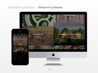 36 
Propositions graphiques - Découvrir le domaine 
 