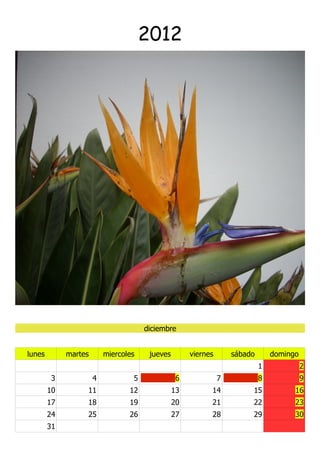 2012




                                      diciembre


lunes        martes       miercoles    jueves        viernes       sábado       domingo
                                                                            1             2
        3             4           5              6             7            8             9
        10        11             12             13         14           15            16
        17        18             19             20         21           22            23
        24        25             26             27         28           29            30
        31
 