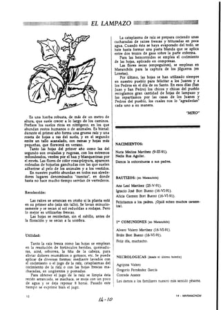 EL LAMPAZO

                                                              La cataplasma de raíz se prepara cociendo unas
                                                           cucharadas de raíces frescas y trituradas en poca
                                                           agua. Cuando ésta se haya eva orado del todo, se
                                                                                              P
                                                           bate hasta formar una pasta b anda que se aplica
                                                           entre dos trozos de gasa sobre la parte enferma.
                                                              Para las hemorroides se emplea el cocimiento
                                                           de las hojas, aplicado en compresas.
                                                              Las flores secas (empeguines), se emplean en
                                                           Maranchón para la captura de los jilgueros (en
                                                           Losetas).
                                                              Por último, las hoias se han utilizado siempre
                                                                 ~   ~~




                                                           en nuestro pJeblo         felicitar a los Juanes y a
                                                           los Pedros en el día de su Santo. En esos días (San
                                                                                              K
                                                           Juan y San Pedro) los chicos chicas del pueblo
                                                           recogíamos gran cantidad de ojas de lampazo y
                                                           las repartíamos por las casas de los Juanes y
                                                           Pedros del pueblo, los cuales nos lo "agradecíann
                                                           cada uno a su manera.
                                                                                                               "MIRO"
   Es una hierba robusta, de más de un metro de
altura, que suele crecer a lo largo de los caminos.    1
Prefiere-los suelos ricos en nitdgeno, en los que
abundan restos humanos o de animales. Es bienal:
durante el primer año forma una gruesa raíz y una
                                                       1   .

roseta de ho'as a ras del suelo, y en el segundo
             /
emite un tal o acanalado, con ramas y hojas más
pequeíías, que florecerá en verano.                        NACIMIENTOS:
    Tanto las hojas del primer año como las del
segundo son ovaladas y rugosas, con los extremos           Nuria Medina Martínez (9-111-91).
redondeados, verdes por el haz y blanquecinas por          Nadia Rus Aguilar.
el envds. Las flores de color rosa-púrpura, aparecen       Damos la enhorabuena a sus padres.
rodeadas de hojuelas ganchudas con las que suelen
adherirse al pelo de los animales y a los vestidos.
    En nuestro pueblo abundan en todos sus alrede-
dores lu ares denominados "cuestas", en donde
         i
hasta no ace mucho tiempo servían de vertederos.
                                                           BAUTIZOS: (en Maranchón)

                                                           Ana Leal Martínez (25-V-91).
Recolección:                                               Ignacío JosC Bort Bueno (16-VI-91).
                                                           Alicia Carmen Bort Bueno (16-VI-91).
   Las raíces se arrancan en otoño si la planta está       Felicitamos a los padres. ¡Ojal6 echen muchos carame-
en su primer año (aún sin tallo). Se lavan minucio-        los!.
samente y se secan al sol reducidas a rodajas. Pero
lo mejor es utilizarlas frescas.
   Las hojas se recolectan, sin el rabillo, antes de
la floración y se secan a la sombra.                           1" COMUNIONES (en Maranchbn)

                                                               Alvaro Valero Manínez (16-VI-91).
Utilidad:                                                      Brián Bort Bueno (16-VI-91).
                                                               Feliz día, muchacho.
   Tanto la raíz fresca como las hojas se emplean
en la resolución de fonínculos heridas, quemadu-
ras, acné, seborrea, la tiña de la cabeza, para
aliviar dolores reumáticos o gotosos, etc. Se puede            NECROLOGICAS
aplicar de diversas formas: mediante lavados con
el cocimiento o el jugo de la raíz, cataplasmas del            Agripina Valcm
cocimiento de la raíz o con las hojas frescas ma-
chacadas, en ungüentos y pomadas.                              Gregorio Fernández García
    Para obtener el jugo de la raíz se limpia ésta             Conrada Atance
recién arrancada, se-machaca, se moja con un poco
                                                               Les damos a los familiares nuestro más sentido pésame.
de agua y se deja reposar 8 horas. Pasado este
tiempo se exprime bien el jugo.

                                                                                                     14   -   MARANCHON
                                             /A-   10
 