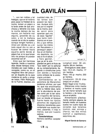 AñO 8 Nº 27 Mayo 1995