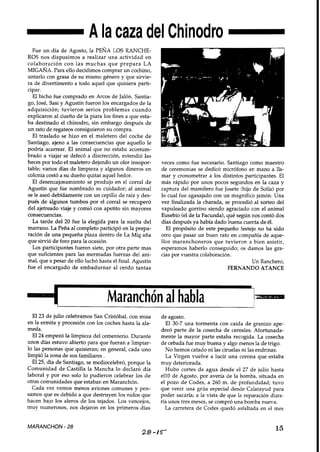 AñO 8 Nº 28 Septiembre 1995