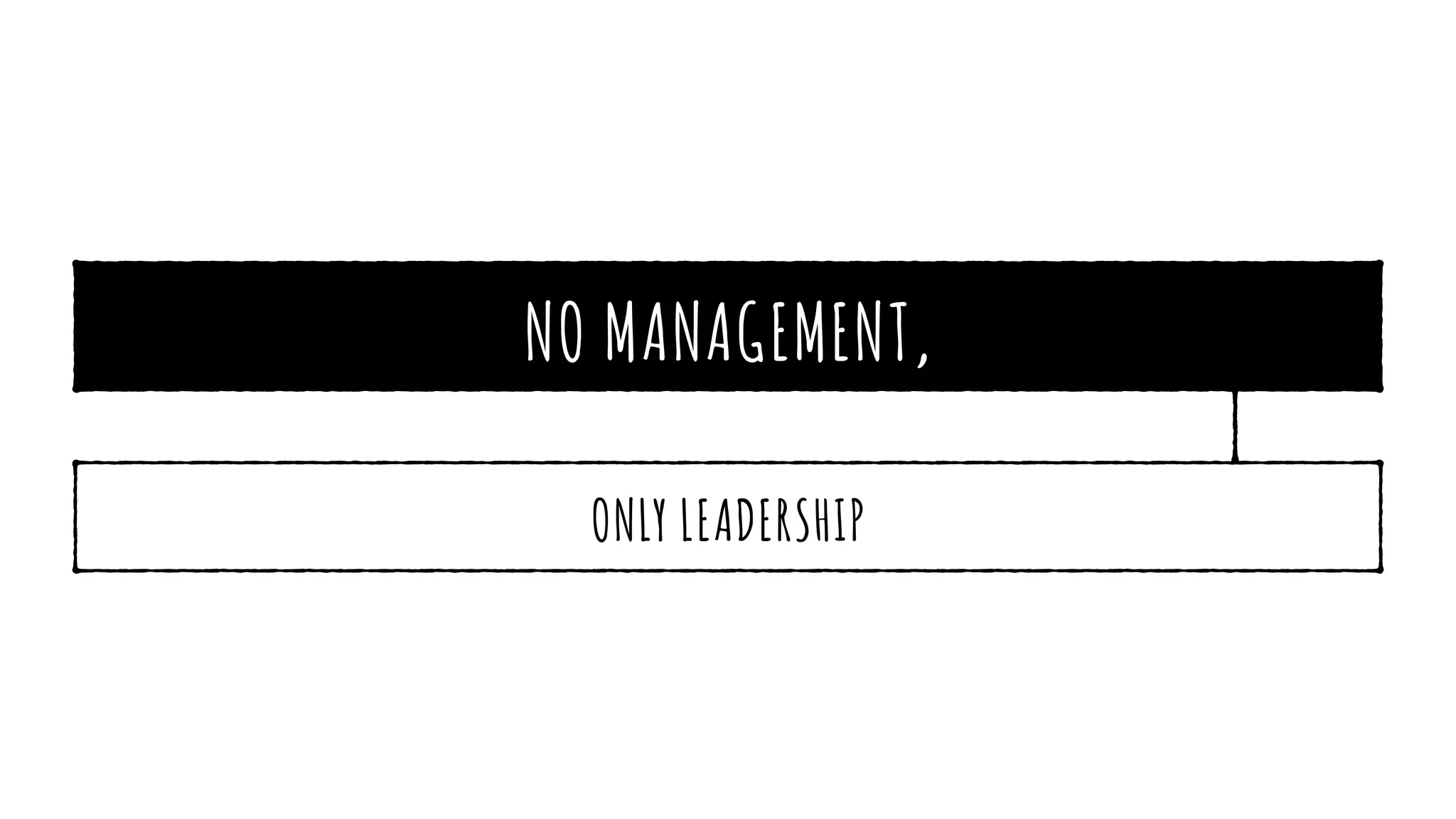NO MANAGEMENT,
ONLY LEADERSHIP
 