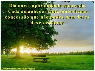 Divaldo Franco / Joanna de Ângelis   Dia novo, oportunidade renovada. Cada amanhecer representa divina concessão que não podes nem deves desconsiderar. 