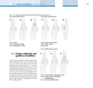 AO Book, Tech of reduction surrgical procedure | PDF