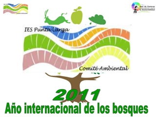 2011 Año internacional de los bosques 